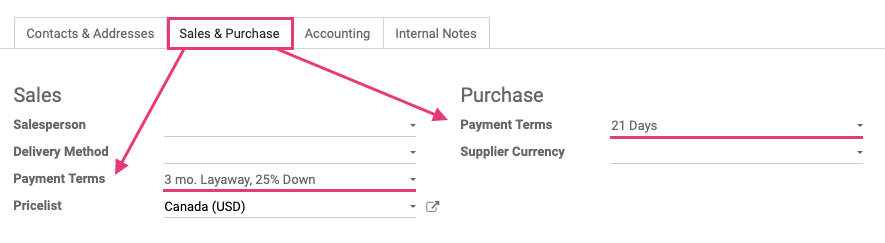 Odoo CMS - a big picture